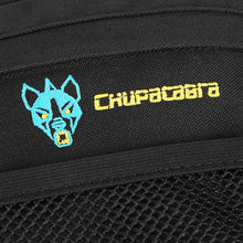Load image into Gallery viewer, Chupacabra Offroad RZR Pro XP Pro R Turbo R Front Door Bags Black